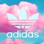 11856861_1627397040857891_2146232358_a