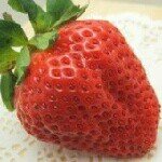 10471814_661696567258446_1541025467_a