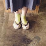 11348168_810484225716600_1090036452_a