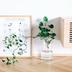 11260445_839344299513306_1918631795_a