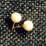 11352943_817651228321909_138333150_a