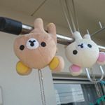 11348168_1455130814791668_1179231246_a