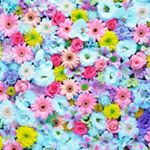 11875604_159371674398585_262965302_a