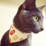 11123800_782448991832887_1106327467_a