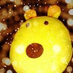 11417328_1636784513236209_66728351_a