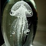 11348238_1631089373831553_312610547_a