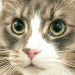 11849326_760505027408389_585878517_a