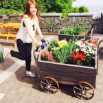 11226614_441236889370560_976875872_a