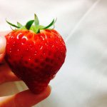 11355176_404473693080092_352965735_a