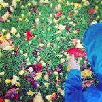 11049365_1561405594139504_2117934800_a