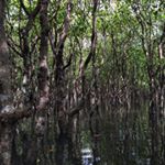 10522190_1471896036455297_478179423_a