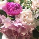 11242413_380918658758459_1328331769_a