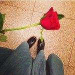 10817560_310826865777965_1473487836_a