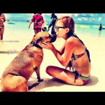 11887088_862827493798669_368263016_a