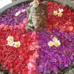 924384_656005964494218_323206182_a