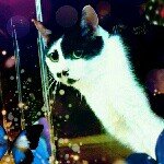 10570002_342808809205783_1958570423_a