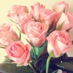 11024427_789054137842296_2018316913_a