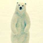 11355216_1601324830121334_1724272979_a