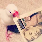 11257039_1617858758470082_1904990135_a