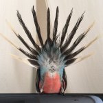 11191049_826660207420207_1081318916_a