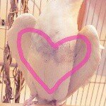 10375639_1424032984524007_1359158157_a