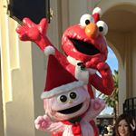 11351598_472583739586317_2008657625_a