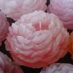 11410372_989535357764767_1672454621_a