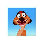 11208323_1593005267639309_1985835493_a