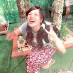 11253707_997912110285723_343053012_a