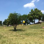 11327345_1458263931136648_560587800_a