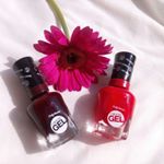 11848963_517221461760665_705479394_a