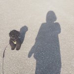 11240361_460987954066299_1247034245_a