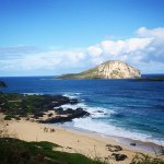 11820439_1648917838682516_827369579_a