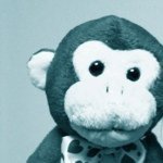 10735095_1625306871075612_1917036442_a