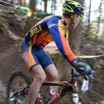 11255668_880679281970897_1129212315_a