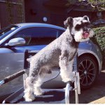 10954010_209809749189623_278524004_a