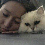 11376405_1617173368535688_119128111_a