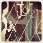 11249433_537400126416710_2016560947_a