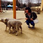 11313634_1661405217439321_315210354_a