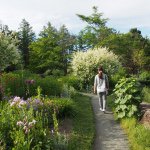 11386483_1450416255280123_71763348_a