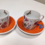 11094477_377363215790073_524281392_a