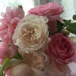 11373636_477197739099715_1482798974_a