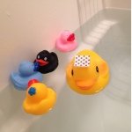 11375739_1037478482943807_566328745_a