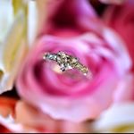 11427460_138972959769607_1129453007_a