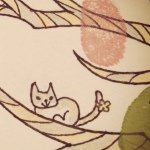 11348344_1452170561759100_1517212928_a