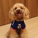 10467838_565795913530079_537176287_a