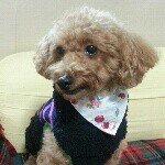 11252510_1046902838662066_233516177_a