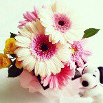 10809800_418368458341927_1187273638_a