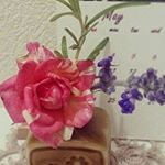 11899674_890651080971747_1440611953_a