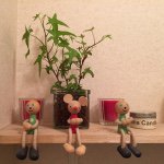 11357882_1185237081501829_1764120391_a